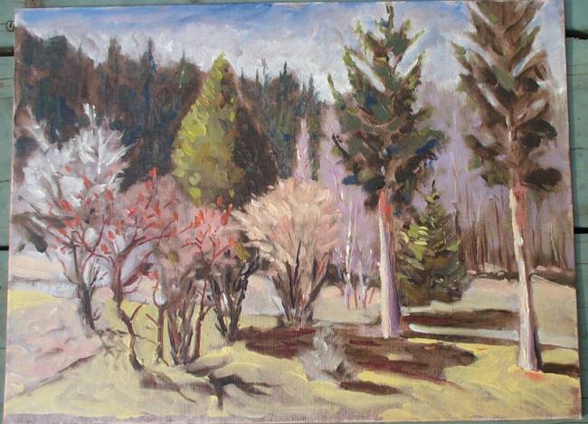 Front Yard View to West 11 AM April 3, 2005