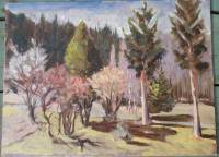 Front Yard View to West 11 AM April 3, 2005