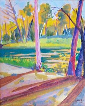 Namekagon River - Howell Landing