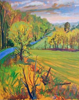 York Center Road Fields