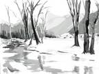 Sunny Winter Stream