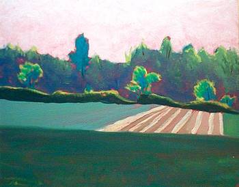 EVENING HILLTOP FIELDS