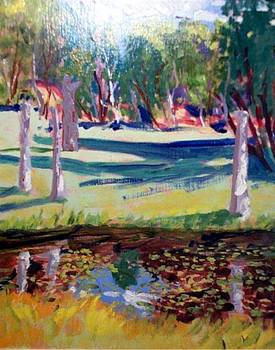 Pond at Squaw Lake Smoky Lake  No 1 Sunny Bog