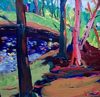 Smoky Lake - Bog from Above