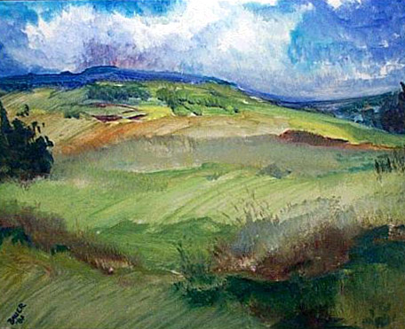 SUNNY FIELDS GESTURE