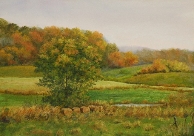 FARM FIELDS, POND AND FENCE ROW