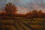 AUTUMN EVENING SKY