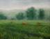  Harvest Mist