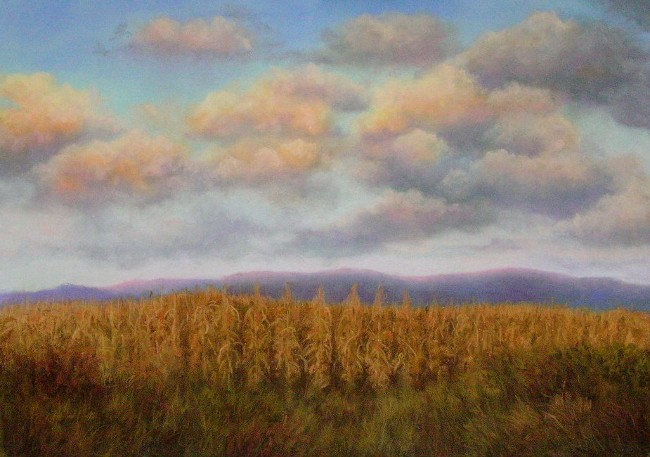 Harvest Sky