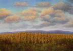 Harvest Sky
