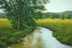 PASTURE AND CREEK 14 X 20