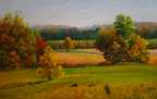 GOLDEN FIELDS