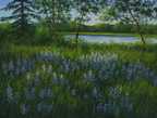 Karner Blue Meadow 12 x 16