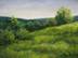 LATE SUMMER MEADOW 10 X 13