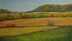 NEIGHBORING FARMS 16 X 28