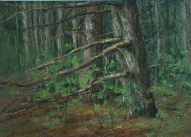 PLEIN AIR PINE 6 x 8