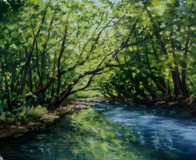 River Reflections