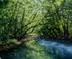 RIVER REFLECTIONS
