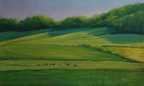Rolling Hills and Morning Shadows