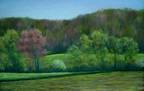 Spring Landscape