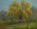 SPRING WILLOW 5.25 x 6.25
