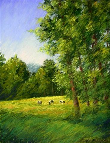 Sunny Summer Afternoon