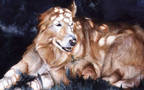 Good Dog