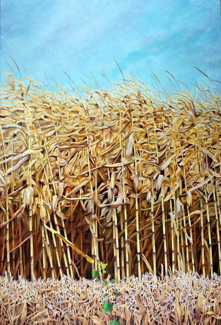October Corn