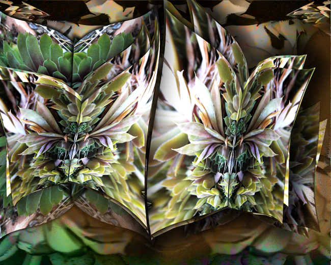 Garden Series
