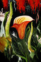 Calla Lily Sonata 