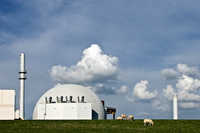That Sheep May Safely Graze
