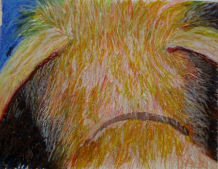 Thank  you, Flyer 1998