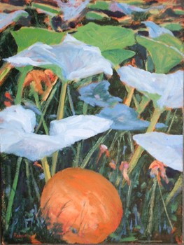 Pumpkin for Sylvia