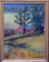 Barn and Hoghuse from Savannah 1985