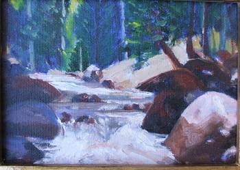 Creek after Rainfall