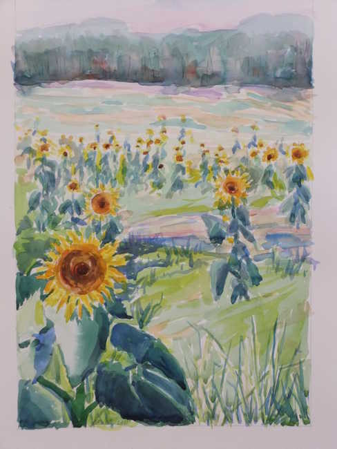 Sunflower Parade at Pope Farms