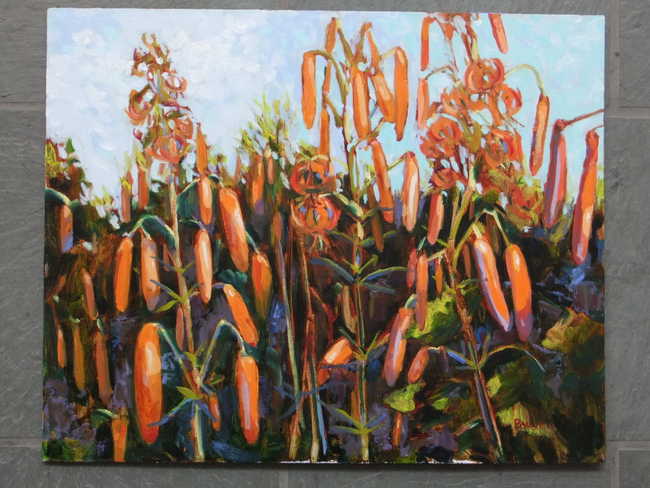 Nick's Turk's Cap Lilies