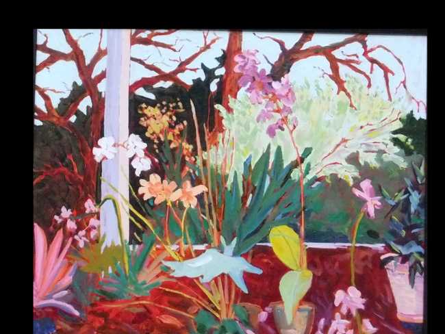 Orchids in Texas Greenhouse