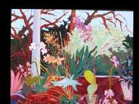 Orchids in Texas Greenhouse