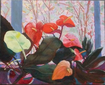 Anthuriums in Texas