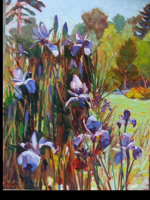 Siberian Iris in June