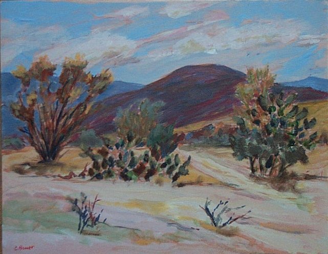 Desert Near Pozos, Mexico