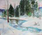 January Snow and Spruces