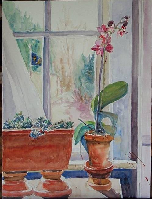 Living Room with Orchid South Window 2