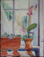 Living Room with Orchid South Window 2