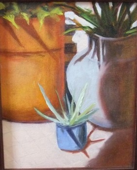 Mexican Aloe