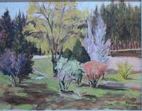 My Front Yard and Road