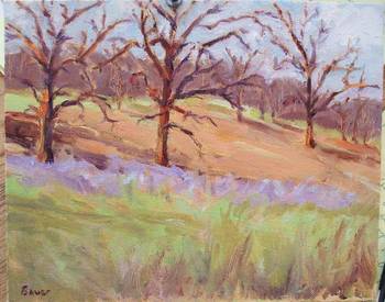 Oak Savannah in November