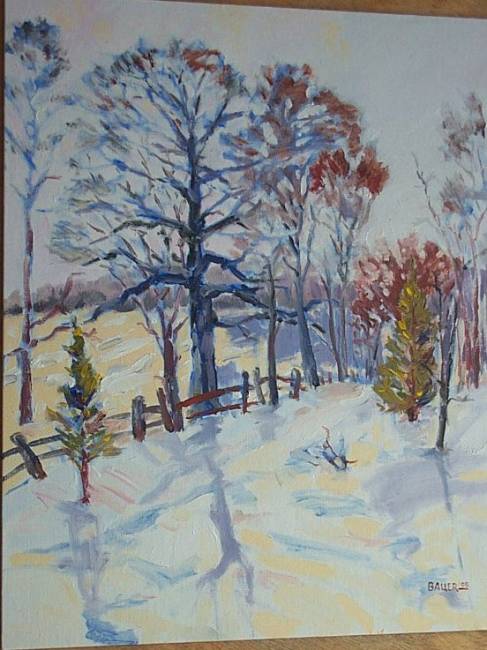 Oak in Snow and Sunshine