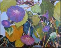 October Morning Glories